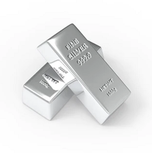 Silver Sponsor