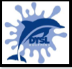 Dhahran Youth Swim League Logo