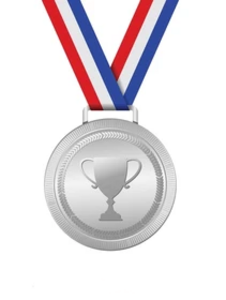 SILVER TEAM SPONSOR