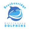 Breckenridge Bottlenose Dolphins Swim Team Logo