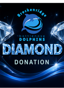 Diamond Dolphin Sponsorship