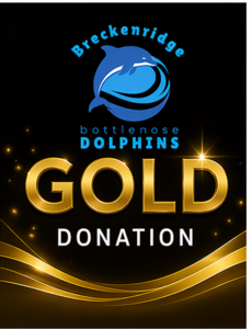 Gold Sponsorship
