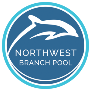 NWB Car Magnet